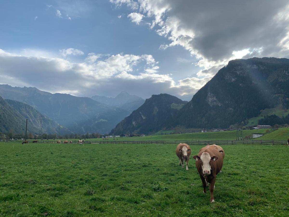 Alpen-Apart Schwendau Bagian luar foto